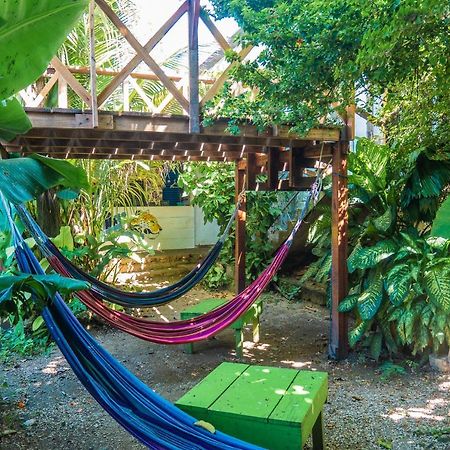 Ciao Cacao Hostel & Vegan Cafe Flores Zewnętrze zdjęcie