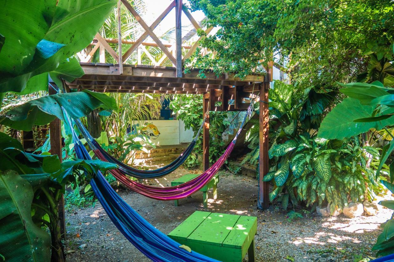 Ciao Cacao Hostel & Vegan Cafe Flores Zewnętrze zdjęcie