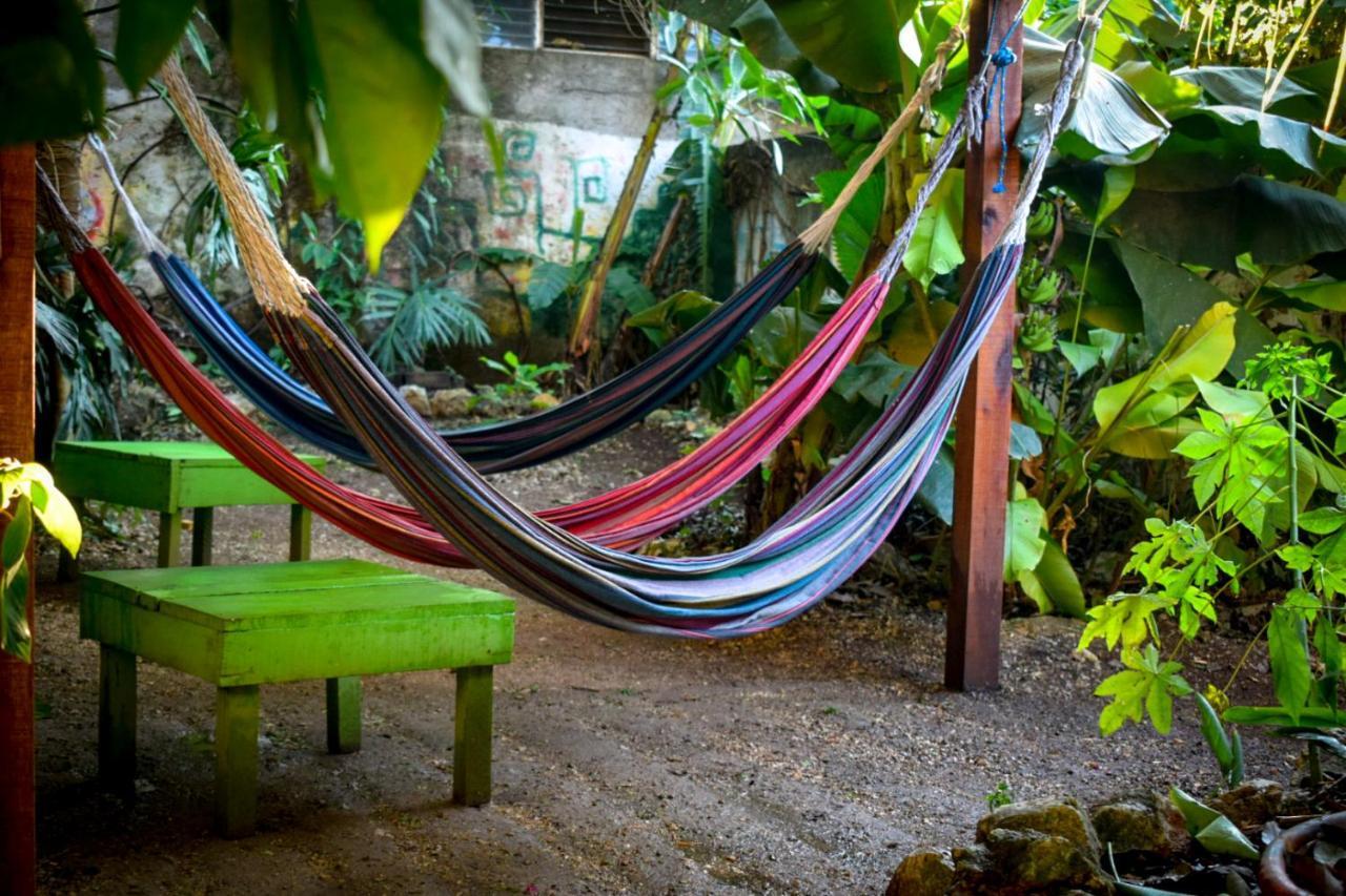 Ciao Cacao Hostel & Vegan Cafe Flores Zewnętrze zdjęcie