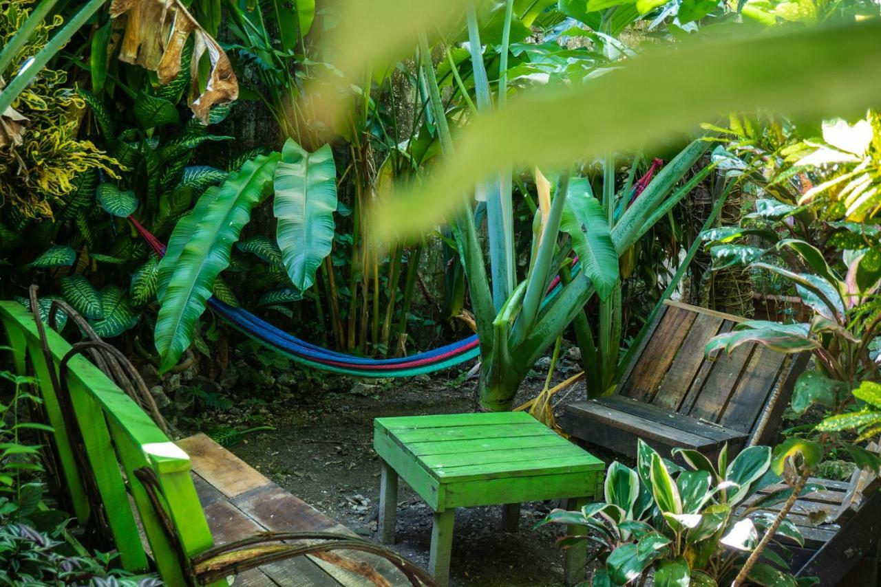 Ciao Cacao Hostel & Vegan Cafe Flores Zewnętrze zdjęcie