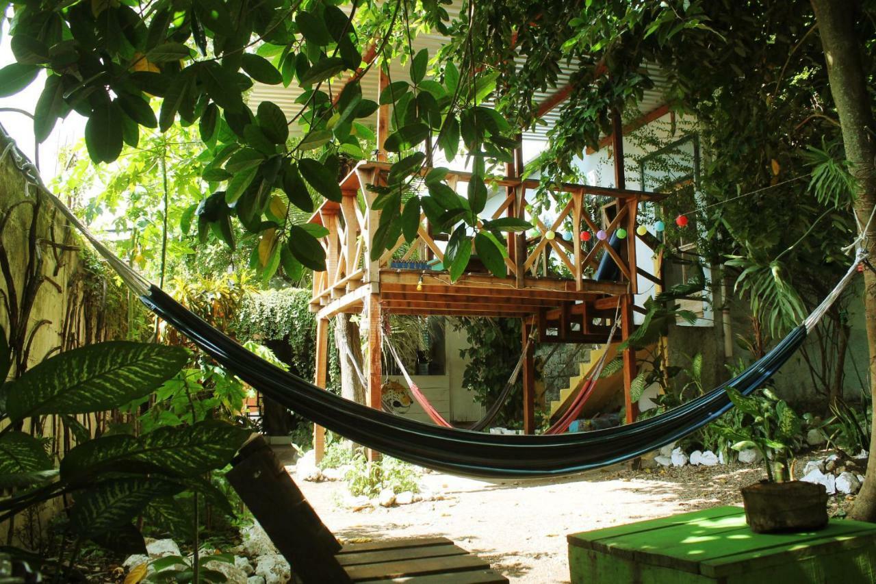 Ciao Cacao Hostel & Vegan Cafe Flores Zewnętrze zdjęcie
