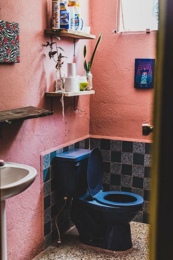 Ciao Cacao Hostel & Vegan Cafe Flores Zewnętrze zdjęcie